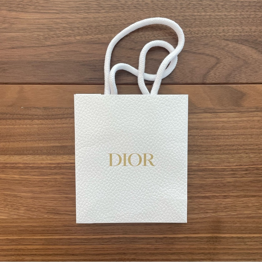 Small Dior Paper Gift Bag